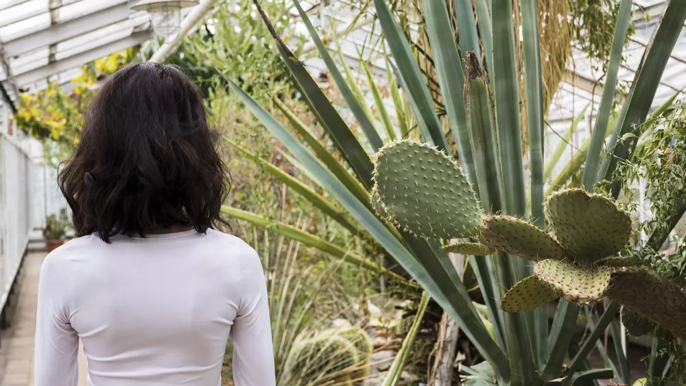 Avoiding cactus needles